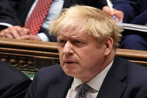 Bereaved families let rip at Boris Johnson for taking them for ‘fools’ after No10 party apology