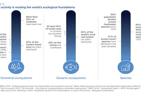 The Nature Positive Supply Chain!