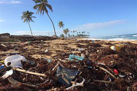 International Plastic Outlook requires more circularity, nationwide roadmaps |  News |  SDG..