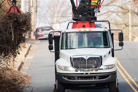 Ask SAM: How does the city of Winston-Salem schedule brush pick-up?  |  Local News
