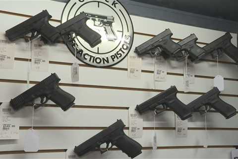 5 Indiana mayors renew call for expanded gun background checks – WISH-TV |  Indianapolis News | ..