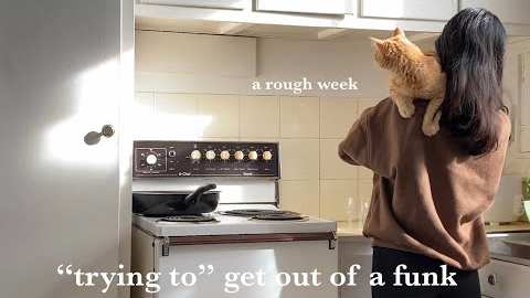 Sydney dairies// “trying to” get out of a funk