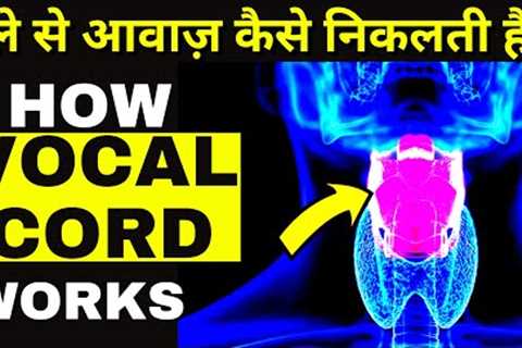 Vocal Cords In Action | Voice Box In Human Body | Vocal Cord Anatomy | How Vocal Cords Work