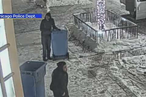 Chicago police search for burglars who stole from Michigan Avenue shop