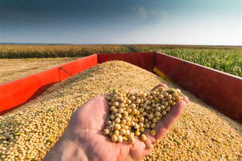 Soybean processor acquires Mississippi plant - Food Business News