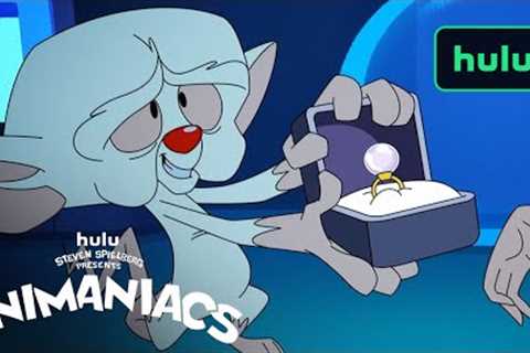 Animaniacs | Valentine's Day | Hulu