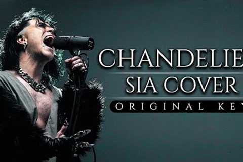 Sia - CHANDELIER  Cover (Male Version ORIGINAL KEY*) | Cover by Corvyx