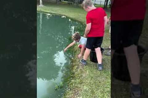 Kid catches fish using just his hands