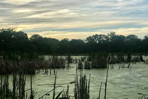 U.S. Supreme Court rejects Biden wetlands regulation, ruling for Idaho couple ⋆