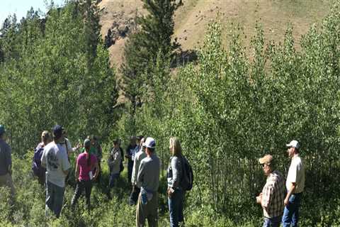 Partnerships for a Greener Future in Boise, Idaho