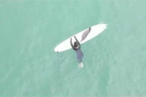 Baby seal climbs onto surfer's boards off California coast