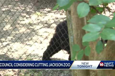 Jackson leaders consider closing zoo