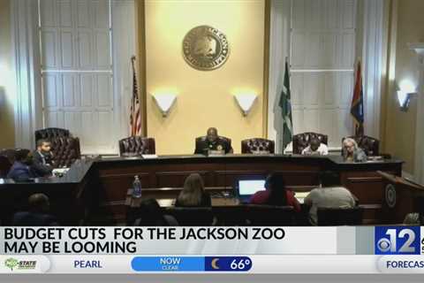 Budget cuts for Jackson Zoo may be looming