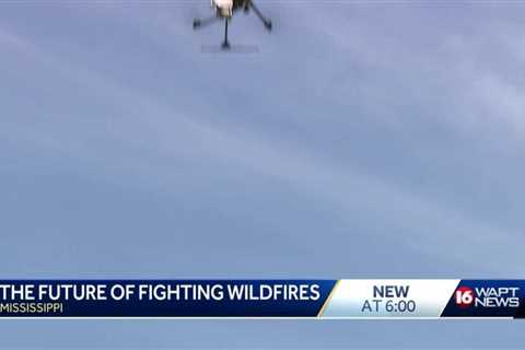 Wildfire drones