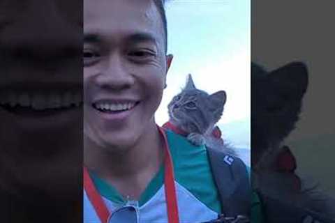 Adorable cat goes ice climbing, hiking and paddleboarding with dad