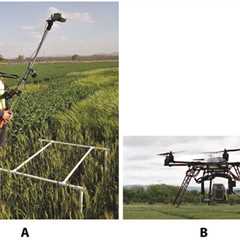 Counting heads: How deep learning can simplify tedious agricultural tasks