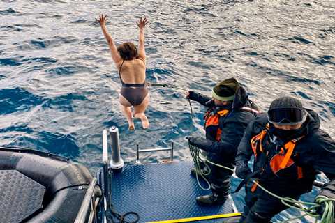 I just jumped off a cruise ship in Antarctica and lived to tell the tale