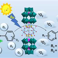First visible-light induced simultaneous cleavage of C-C and C-N bonds with polyoxometalate..