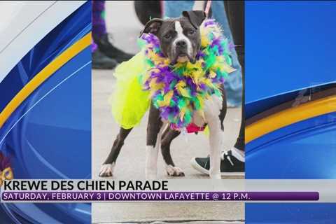 Krewe Des Chien Parade returns to Downtown Lafayette Feb. 3