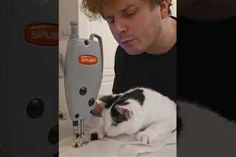 Cat Trains to Be a Seamstress