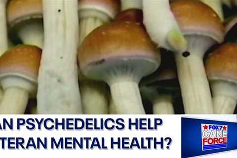 Are psychedelics the future of treating veteran mental health? | FOX 7 Austin
