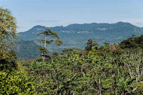 UN climate fund axes Nicaragua forest project over human rights concerns