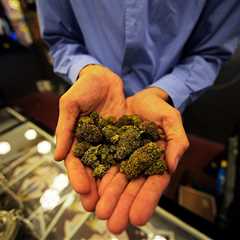 U.S. Senate Dems launch renewed push for full marijuana legalization •