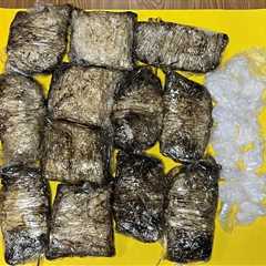 12 pounds of meth discovered in trunk after traffic stop in Santa Rosa: police