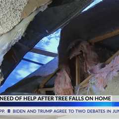 Sumrall family's mobile home damaged by tree
