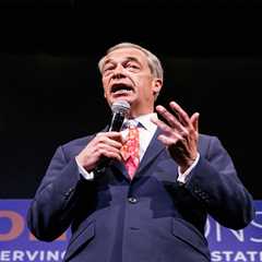 Nigel Farage decides not to run for Parliament in upcoming election