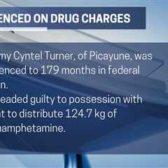 Picayune man sentenced to nearly 15 years on drug charges