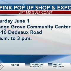 Pink Pop Up Shop & Expo connecting and showcasing small businesses
