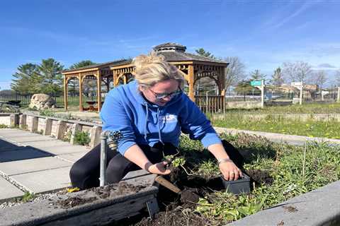 ‘No Mow May’ grows in Traverse City •