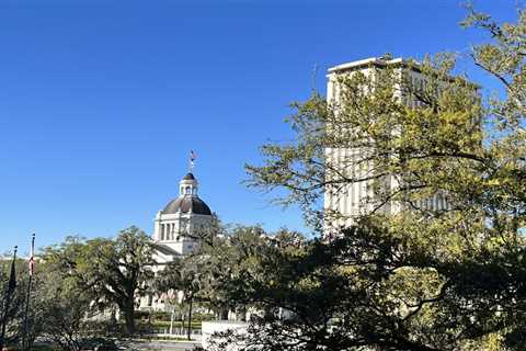 New state budget advancing as FL Legislature prepares to end its session for the year • Florida..