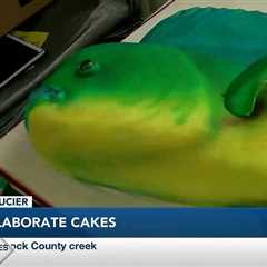 Coast Life: Cake maker brings joy with elaborated creations