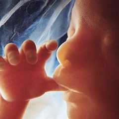 Over 30,000 Babies Born Since Roe v. Wade Overturned, New Study Shows