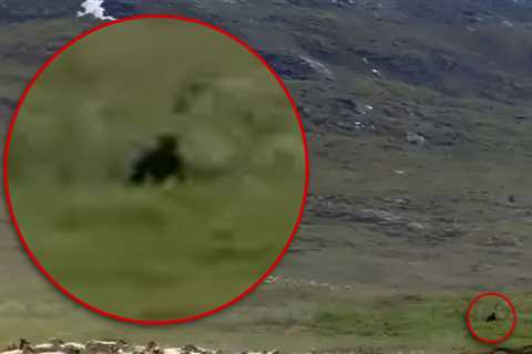 Bigfoot Purportedly Spotted in Resurfaced Documentary Clip, Running Among Caribou