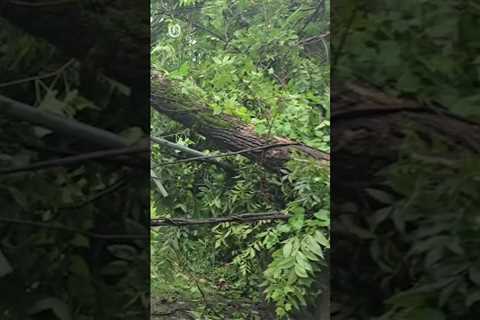 Debby hits Charlotte, N.C.