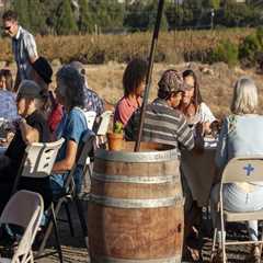 Unlocking the World of Wine: Insider Tips for Wine Festivals in Los Angeles County, CA