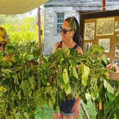 Exploring the Exciting Beer Festivals in Erie County, NY