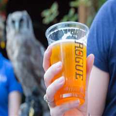 Discovering the Top Beer Festivals in Washington County, Oregon