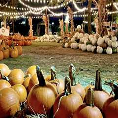 Experience the Magic of Fall Festivals in Tarrant County, Texas