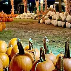 Fall Festivals in Tarrant County, Texas: A Guide to Contests and Competitions