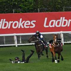 ‘We feared the worst’ – All hell breaks loose as £3million horse causes carnage before big race