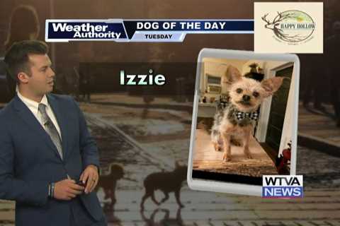 Dog Walk Forecast for Oct. 29 – Izzie