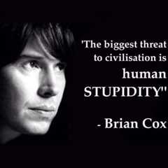 Human Stupidity