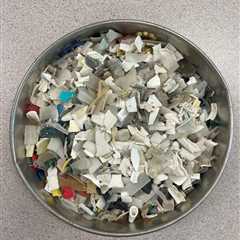 The Truth About Plastic Fragments