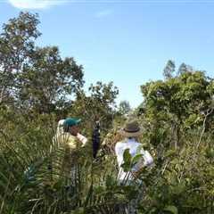 World’s Most Diverse Savanna Dominated by Just 30 Tree Species: Study