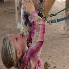 The Exciting World of Horse Shows in Currituck County, North Carolina