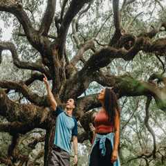 The Vibrant Celebrations of Southeastern Mississippi